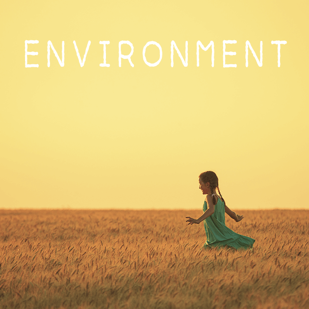 ENVIRONMENT